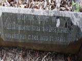 image of grave number 569718
